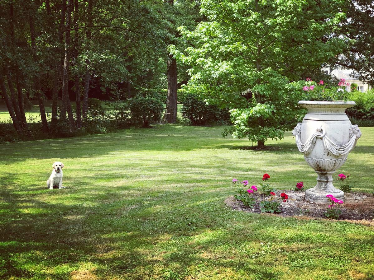 Chambre D'Hote Manoir De Clairbois Larcay Exteriör bild